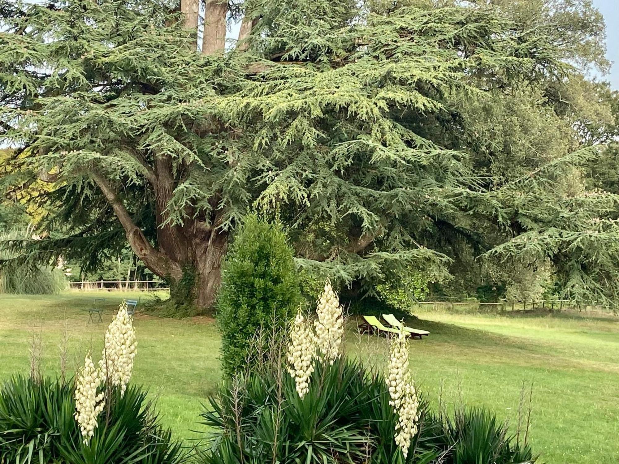 Chateau La Bainerie Tierce Exterior foto